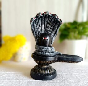 Peachy perx shivling idol