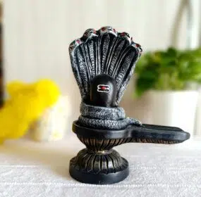 Peachy perx shivling idol